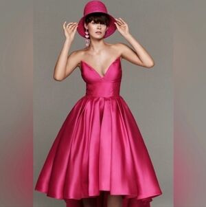 Anthropologie Hutch Sabrina Strapless V-Neck Pleated High-Low Gown Pink Size 4